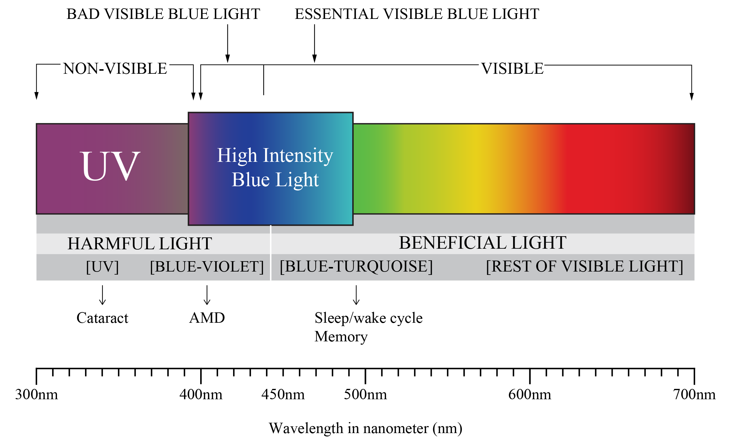 Blue Light - Buy Prescription Glasses Online - Visio-Rx